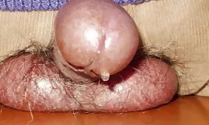 बिस्तर में, कैंसर के साथ पारदर्शी मोज़ा में अश्लील एक मुनीज़ आदमी बकवास सेक्सी वीडियो फुल मूवी हिंदी लड़की