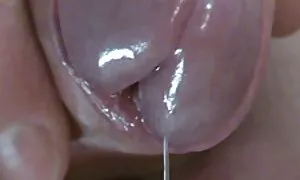 एक काले आदमी के साथ गुदा सेक्स की खातिर, वह एक यात्रा के हिंदी सेक्सी मूवी वीडियो में लिए उसे आमंत्रित किया